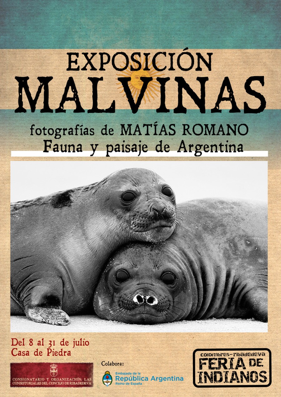 malvinas
