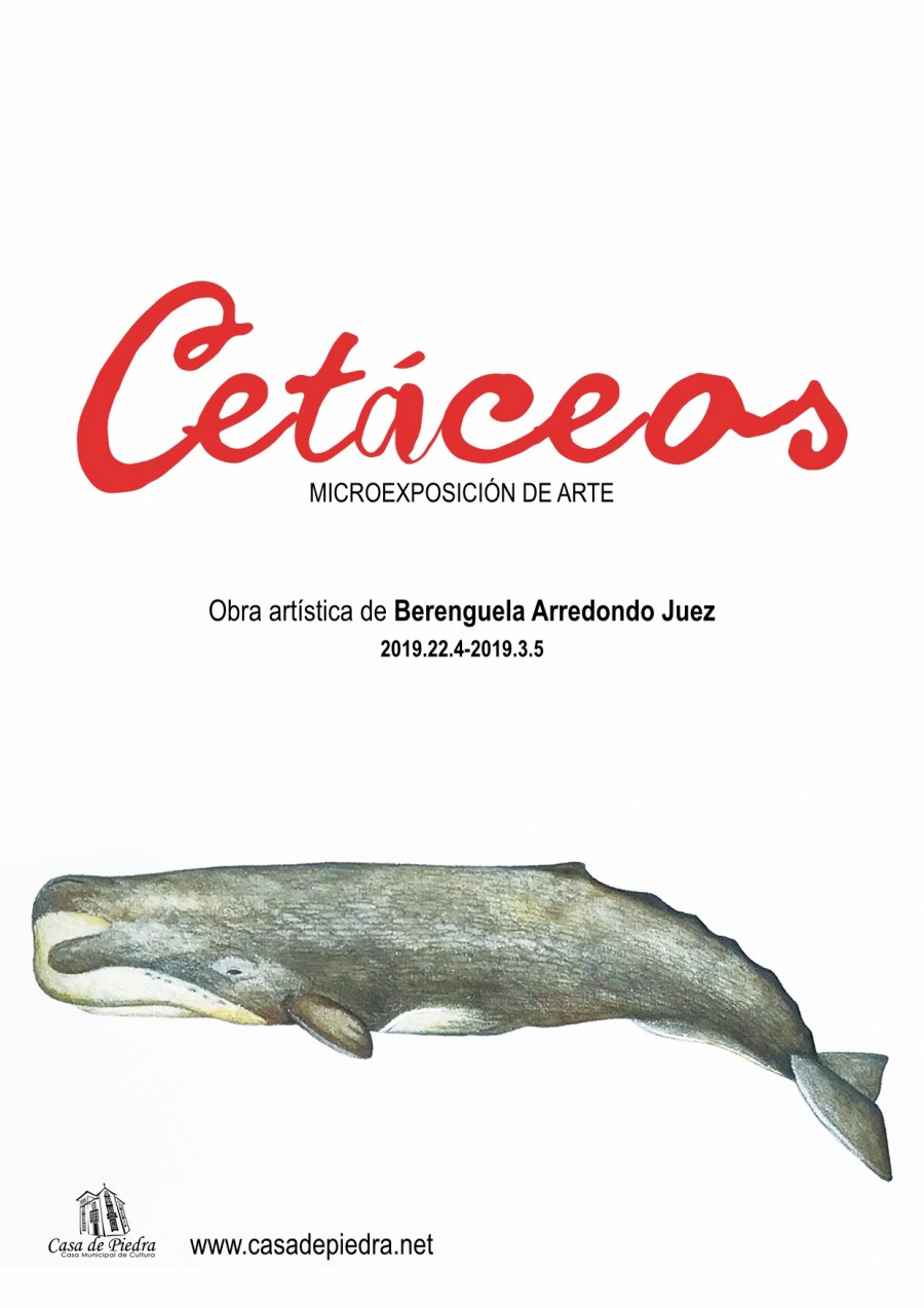 Cartel exposición cetáceos